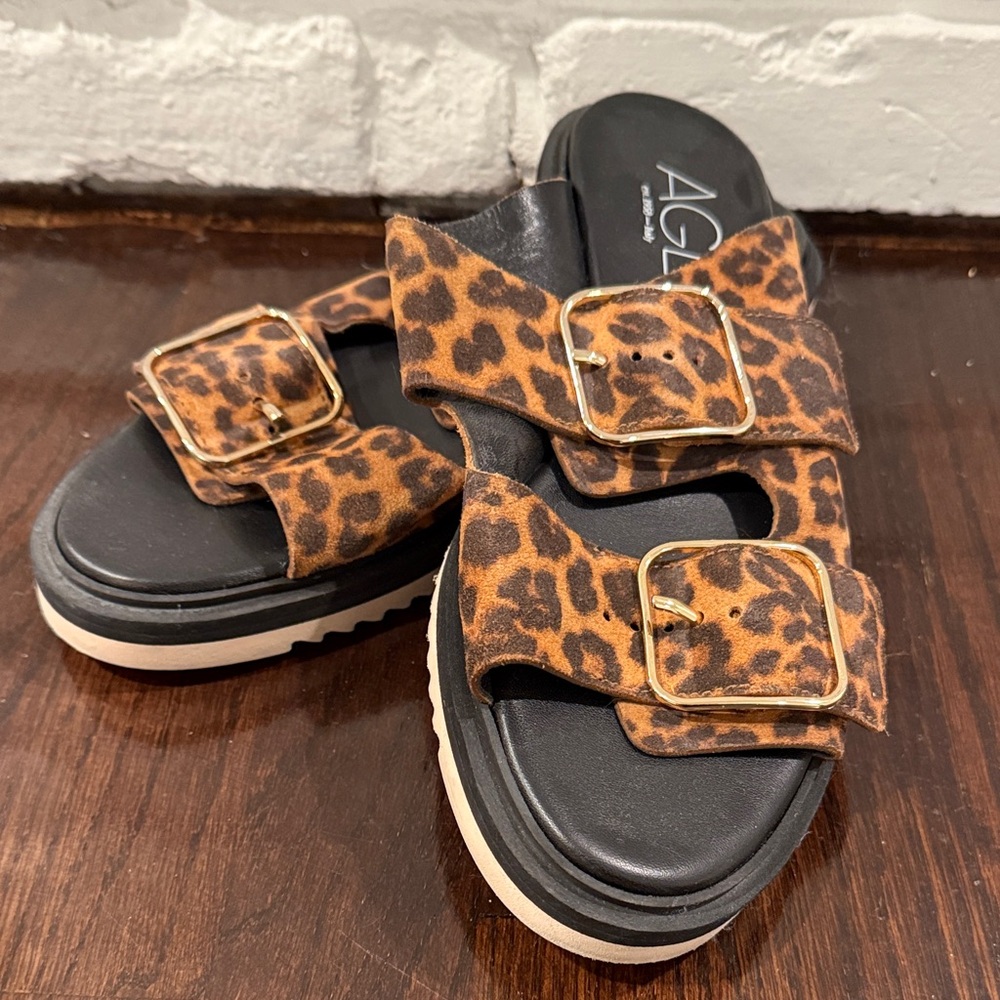 AGL Animal Print Sandals with Gold Buckles 39